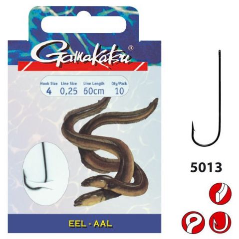 _ftp_1_140117-eel-ls5013_1.jpg