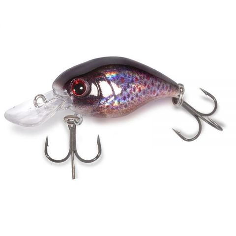 brown-trout-z-5436-543676.jpg