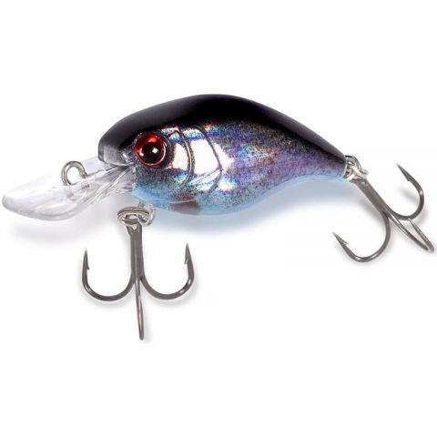 rainbow-trout-z-5436-543677.jpg