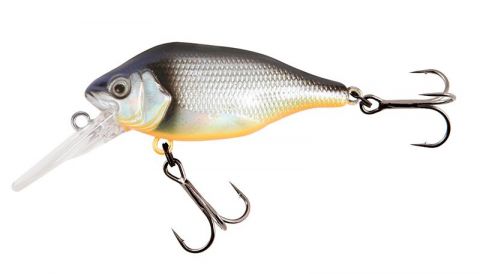 nhl484-funk-bug-dr-silver-baitfish-copy.jpeg