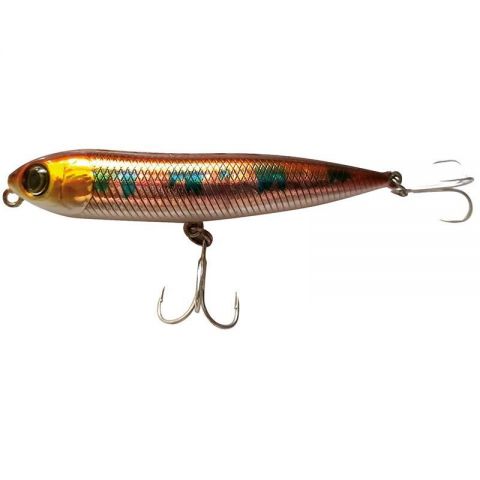 brown-trout-z-5923-592378.jpeg